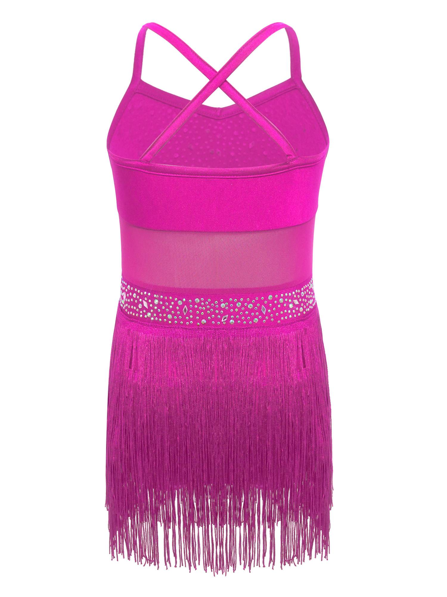 Kids Girls Rhinestone Sleeveless Fringed Latin Tango Dance Leotard Dress