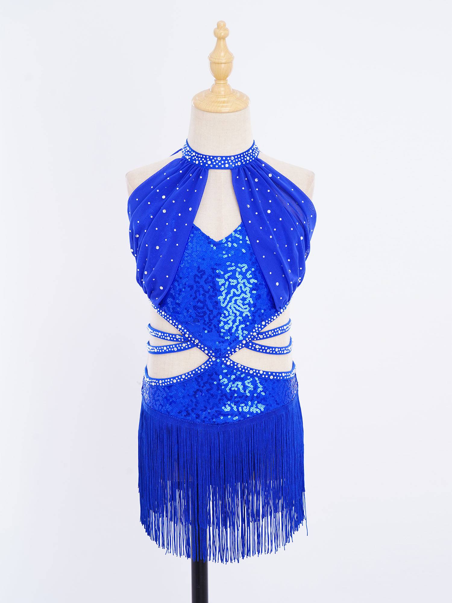 Girls Rhinestone Sleeveless Fringe Latin Dance Dress for Competitions & Recitals