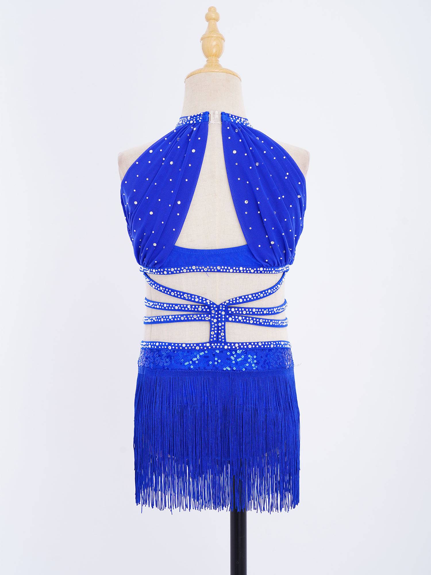 Girls Rhinestone Sleeveless Fringe Latin Dance Dress for Competitions & Recitals