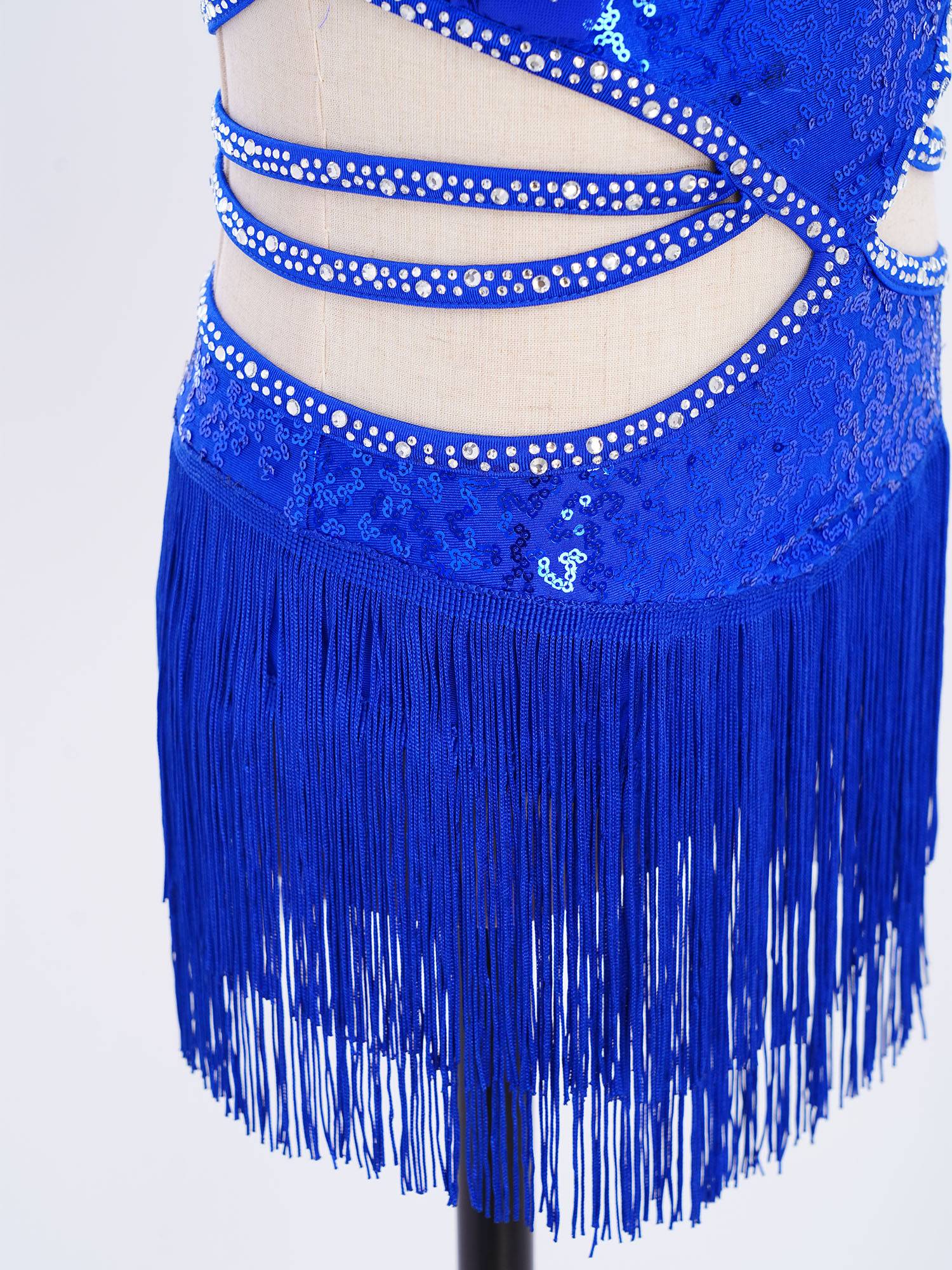 Girls Rhinestone Sleeveless Fringe Latin Dance Dress for Competitions & Recitals