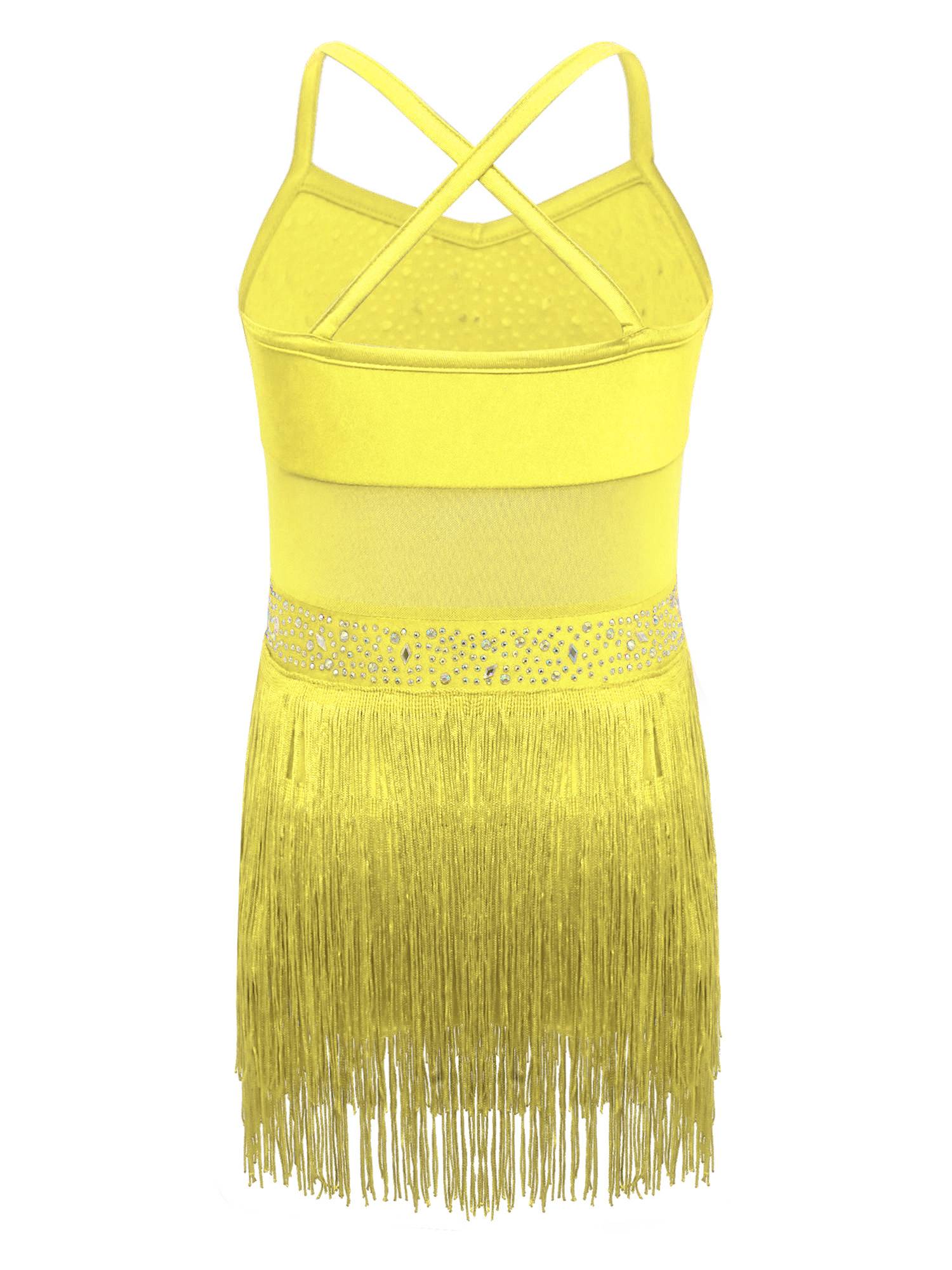 Kids Girls Rhinestone Sleeveless Fringed Latin Tango Dance Leotard Dress