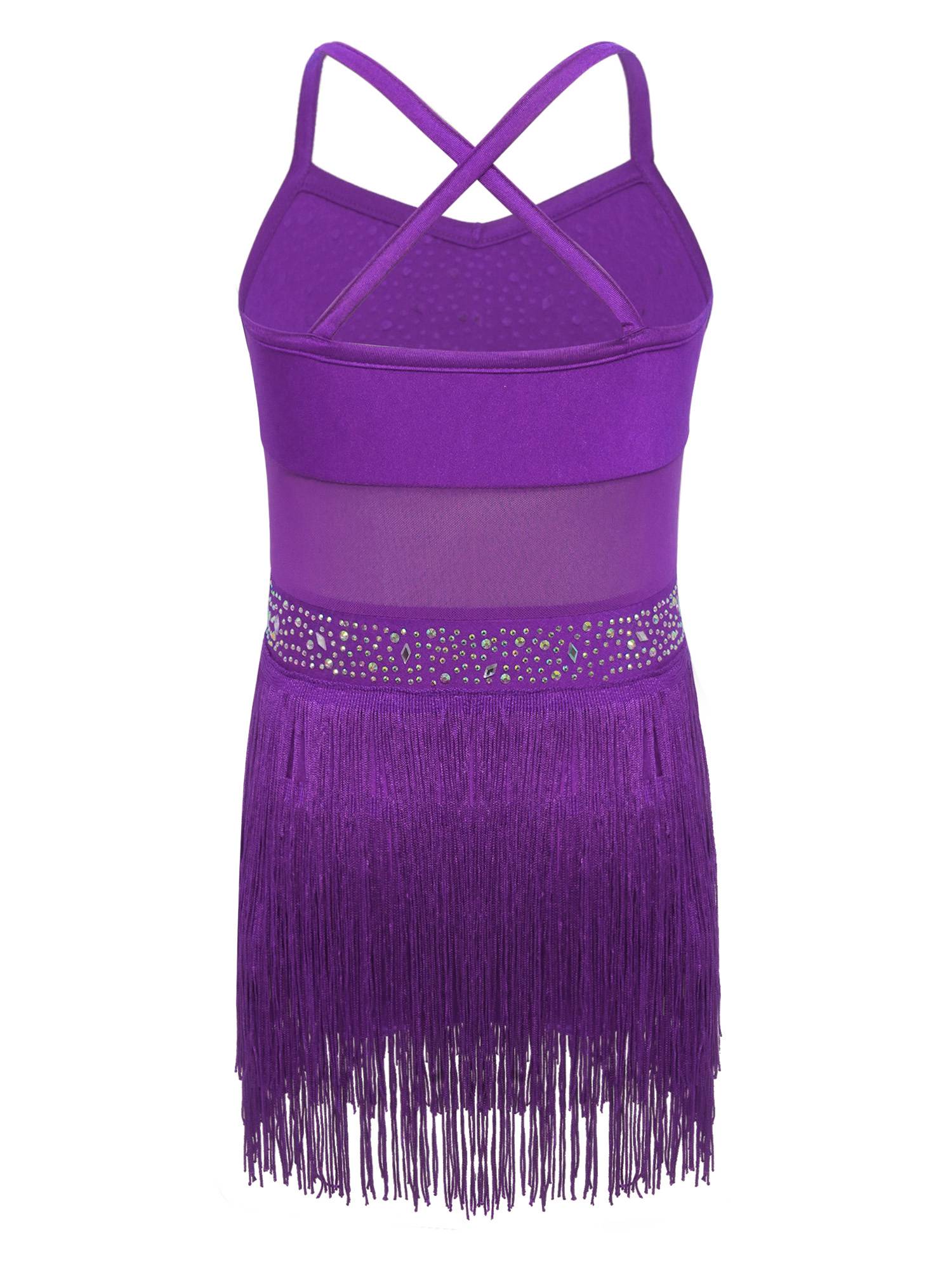 Kids Girls Rhinestone Sleeveless Fringed Latin Tango Dance Leotard Dress