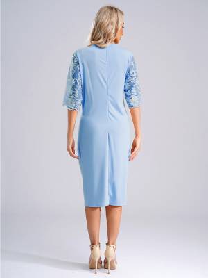 Women Plus Size Embroidery Round Neck Short Sleeve Tea Length Cocktail Dress back image