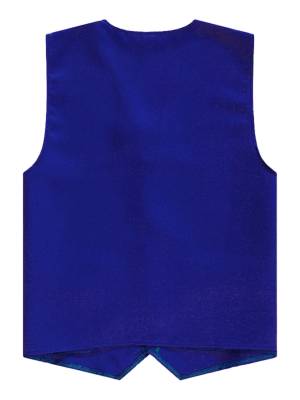 Kids Boys Solid Color V Neck Sleeveless Button Front Vest back image
