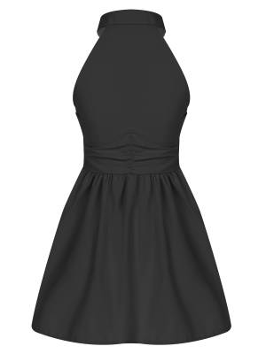 Women Turn-down Collar Halter Neck Sleeveless A-line Dress back image