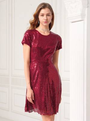 Women Ladies Round Neckline Sequins Cocktail A-line Dress