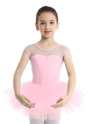 Kids Girls Sleeveless Mesh Ballet Dance Leotard Tutu Dress front image