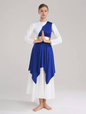 Women Sleeveless V Neck High Low Praise Dresses(no white underdress) front image