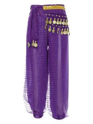 Kids Girls Sequined Chiffon Belly Dance Pants front image