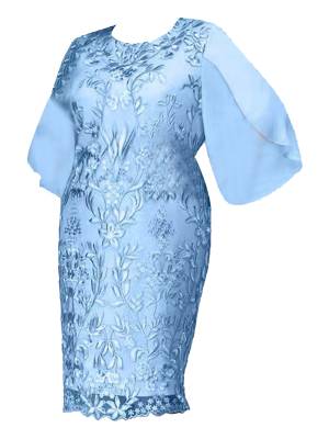 Women Mother of Bride Dress Embroidered Plus Size Cocktail Dress