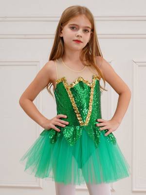 Kids Girls Sleeveless Sequins Mesh Tutu Dress Fairy Costume front image