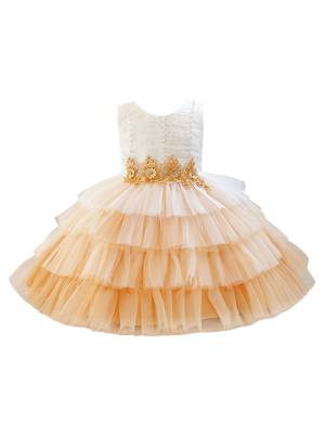Baby/Toddler Girl Sleeveless Flower Beaded Tutu Dress for Birthday Party