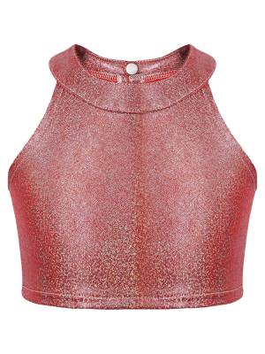 Kids Girls Metallic Sleeveless Halter Neck Jazz Dance Crop Top front image