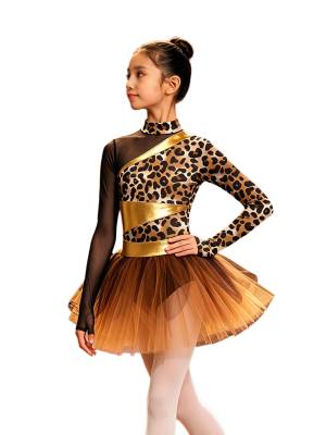 Girls Mesh Metallic Ballet Skirt Costume Unitard Dress Outfits Dancewear Show front image